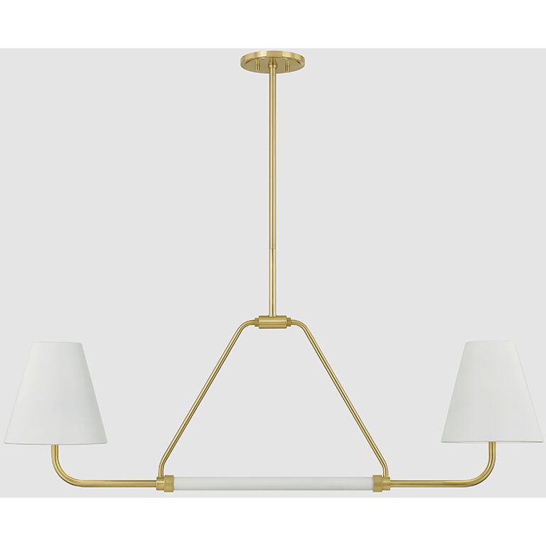 Georgann 2 Light 48 inch Aged Brass/Soft White Linear Ceiling Light